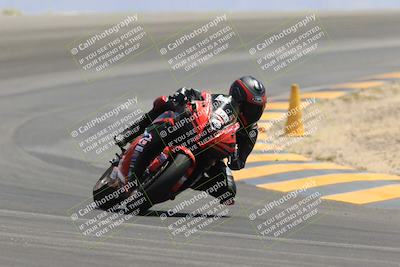 media/May-14-2023-SoCal Trackdays (Sun) [[024eb53b40]]/Turn 12 (1145am)/